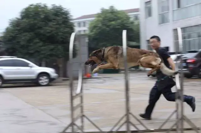 为什么篮球老将需要特殊的训练方法_1